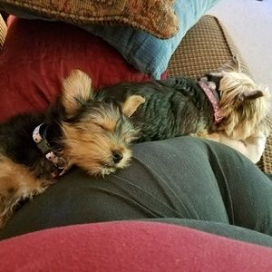 Meet your Posher, Sarah